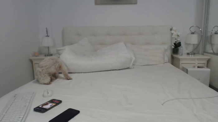 AlisonBB