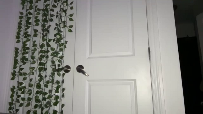 mayflowers