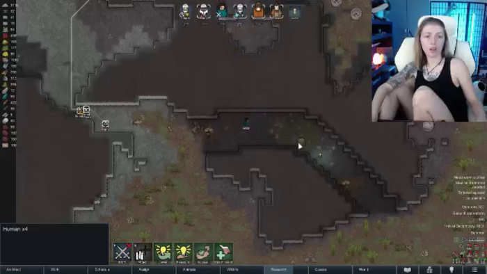 Arwen_Datnoid