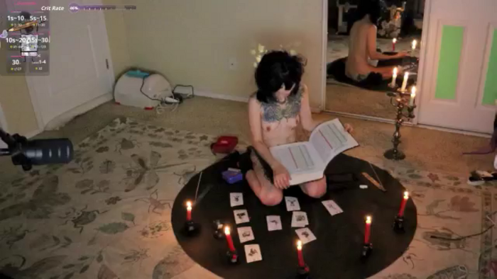 Shellybeans