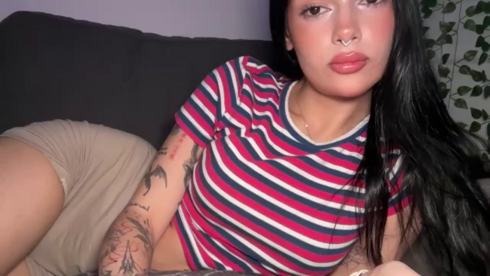 mayflowers