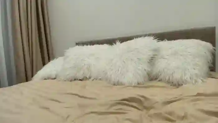 2025/09/05/mfc-anayys-17-33-48