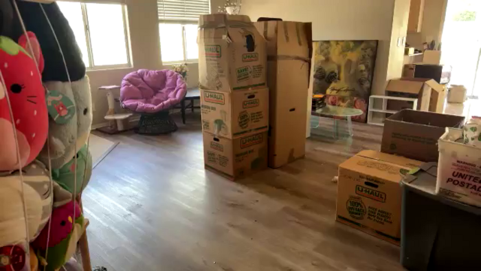 MollyMeowz