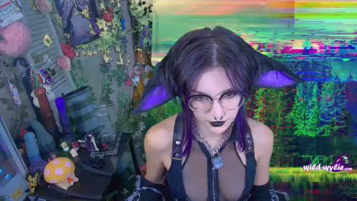 WildWyliePM