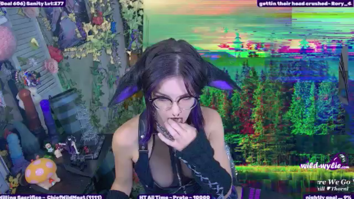 WildWyliePM