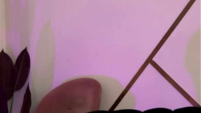 VelvetNova