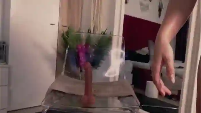 2025/09/11/mfc-ali_yv-11-12-47