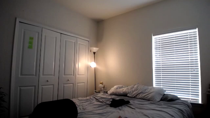 Zyrabrunette