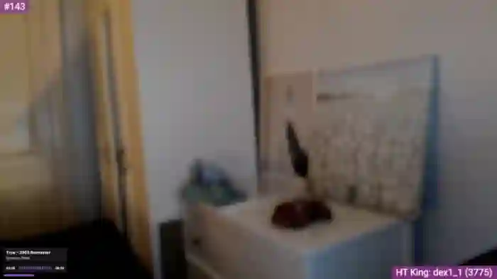2025/09/13/mfc-british_cutie-19-01-50