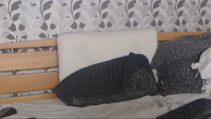 Kelywild