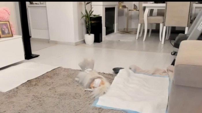 Missy_alena