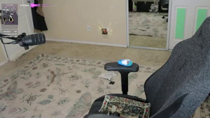 Shellybeans