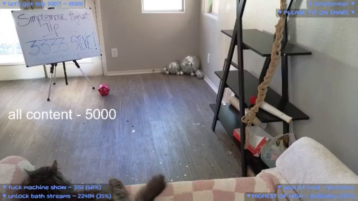 MollyMeowz
