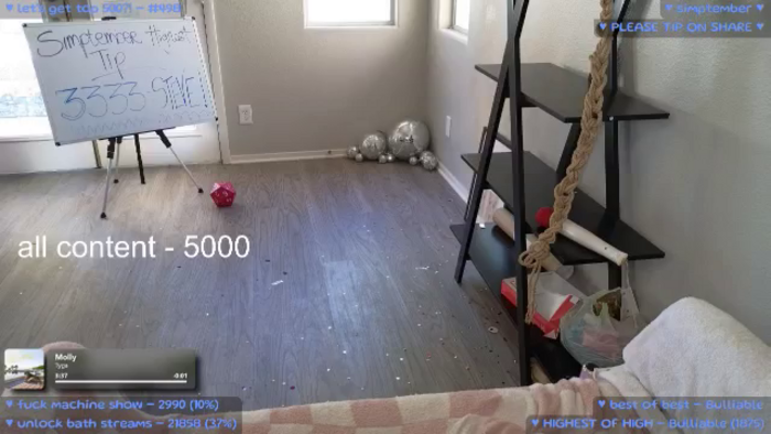 MollyMeowz