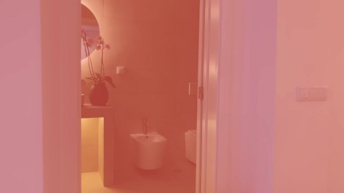 V_e_r_o_