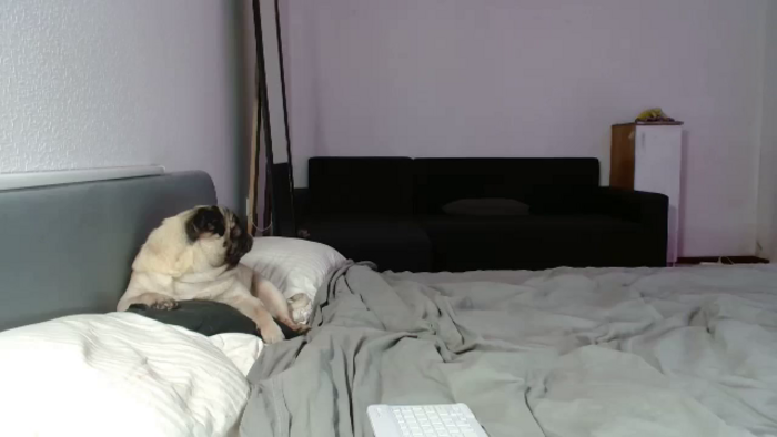 FunnyMinni