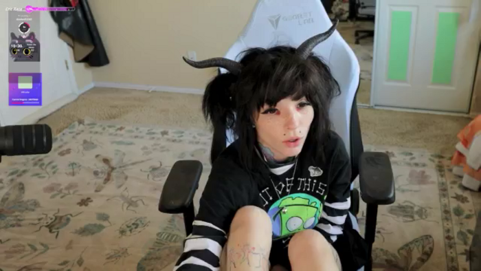 Shellybeans