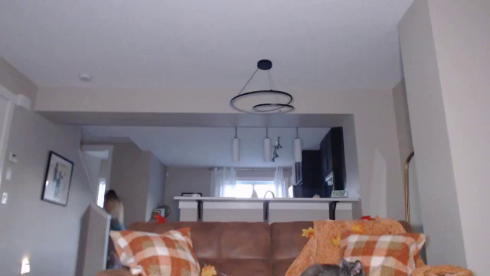 AlexisWildest