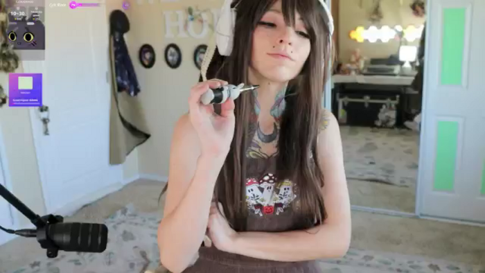 Shellybeans