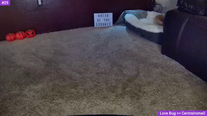 Sammy_gray