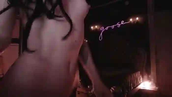 2025/10/11/mfc-lucy_goose-08-29-03