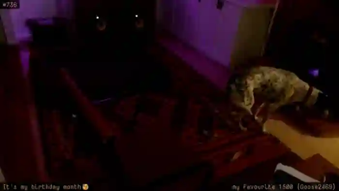 2025/10/12/mfc-honeytits_-08-58-45