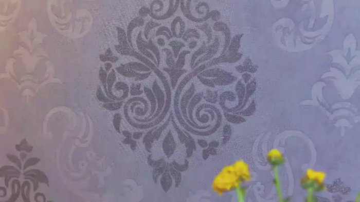 PoxyVibe