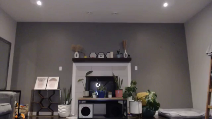 Vanessawildly