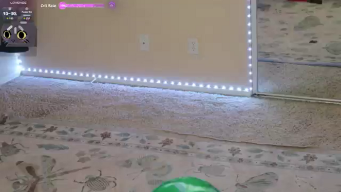 Shellybeans
