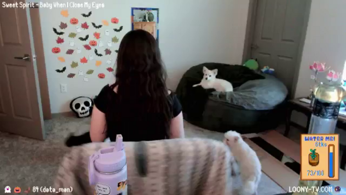 LoonyTV