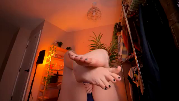 Vixenp