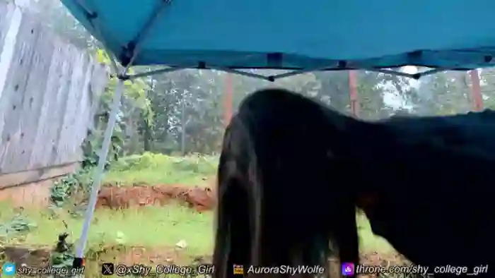 2025/10/25/mfc-aurorawolfe-18-40-43