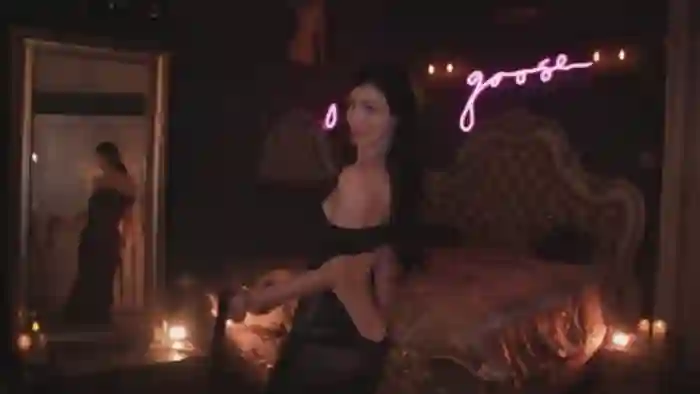 2025/10/25/mfc-lucy_goose-05-39-10