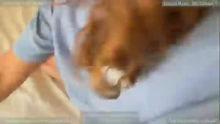 2025/12/12/mfc-vivcity-02-02-27