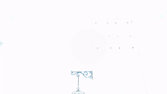 IZUMImmi
