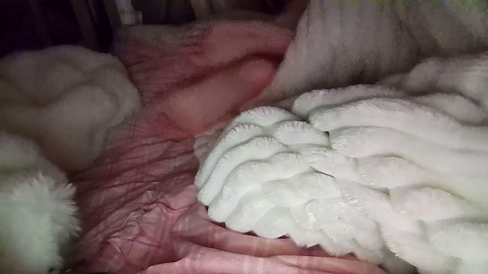 yakirinngo