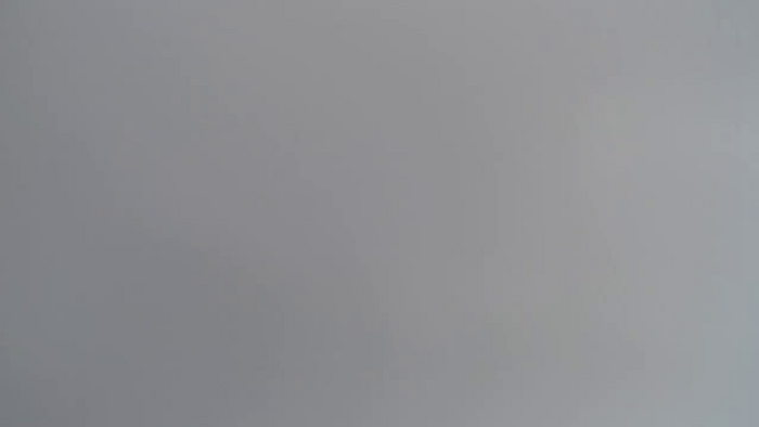 REIKAxdxx