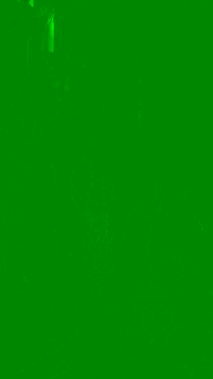 Rinoxxi