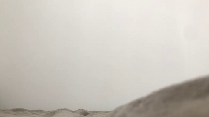 Riinapussy