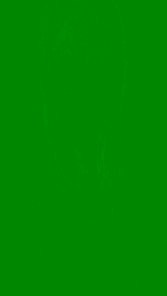 Rinoxxi