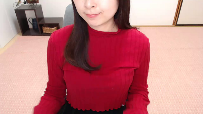 SHIZUKAvo