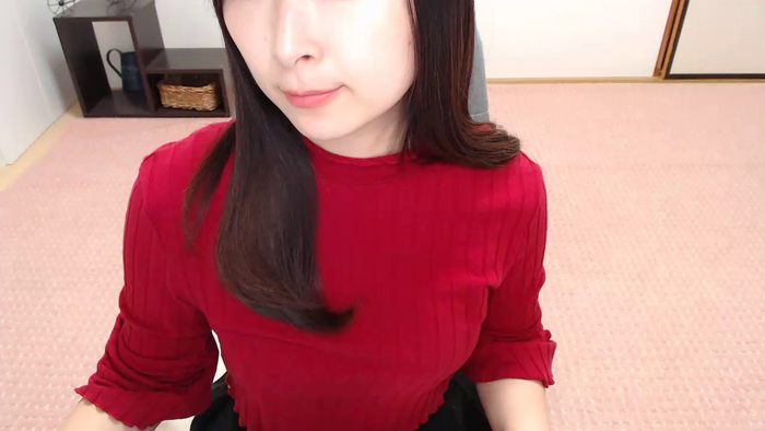 SHIZUKAvo