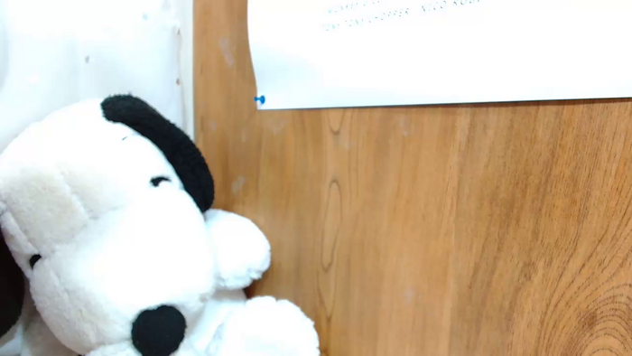 HIYOKOsss