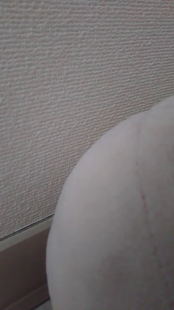 OhLady010