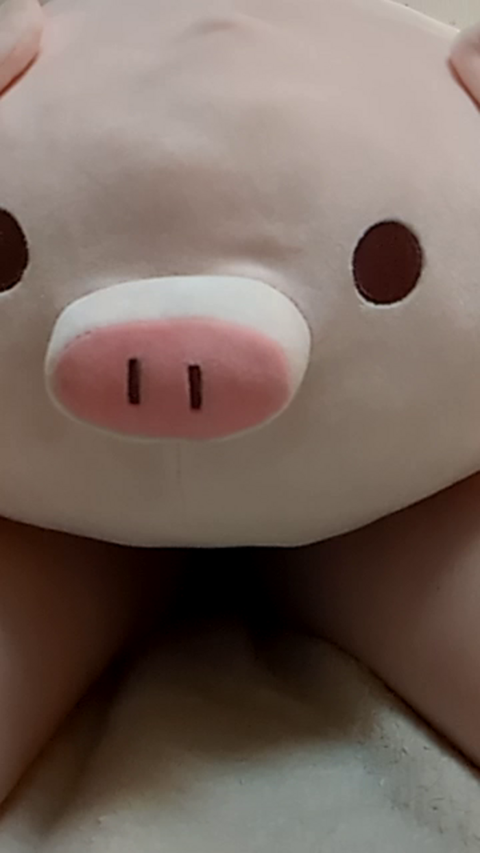 siro1017