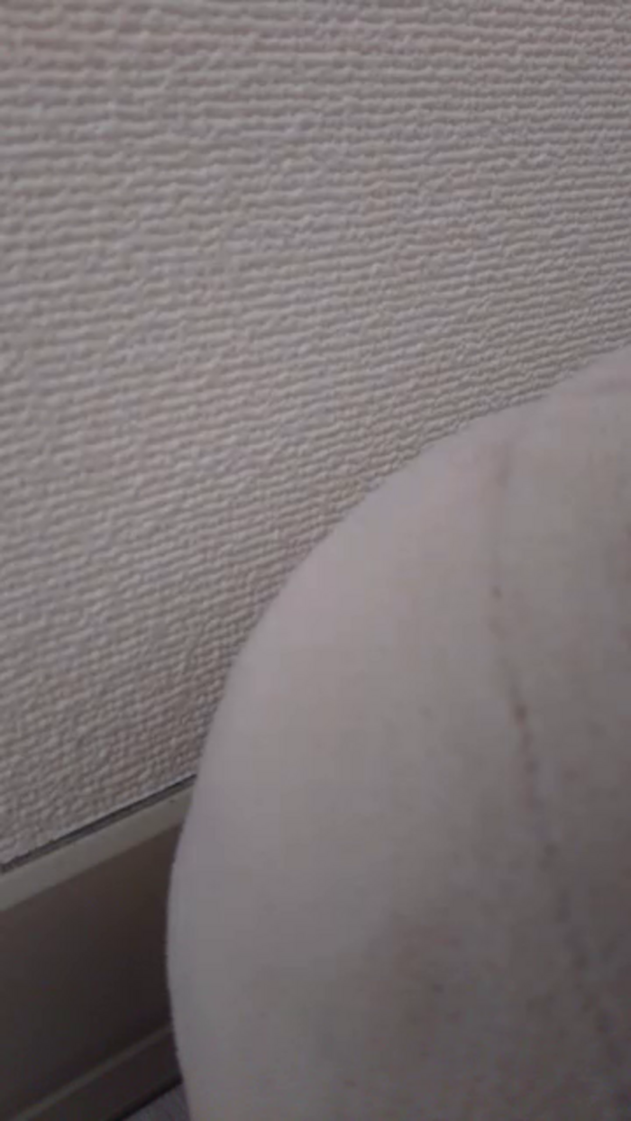 OhLady010