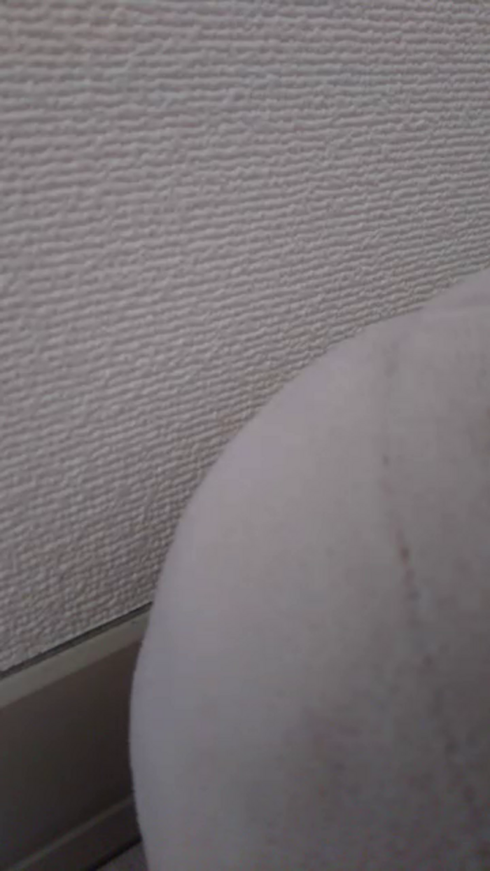 OhLady010