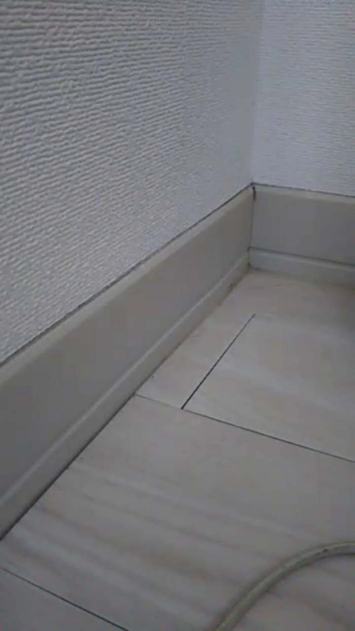 OhLady010