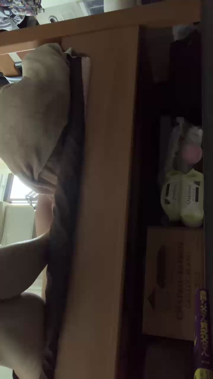 rumrumrum
