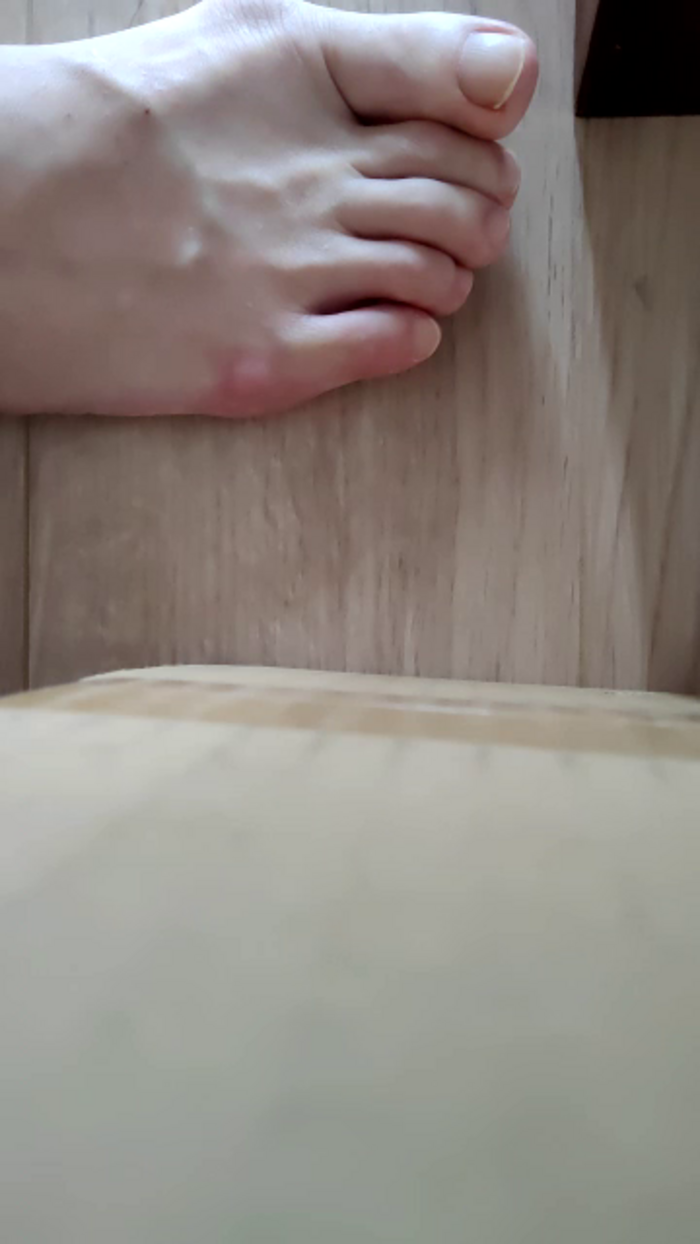 shinamoxcamera